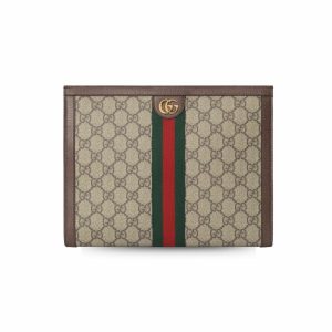 Gucci Ophidia Pouch Beige For Women 10.6 In/ 27 Cm 625549 96IWG 8745