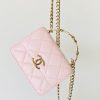 Chanel HAAS Mini Bag Pink For Women 3,7in/9,5cm