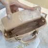 Dior Medium Lady D-Joy Bag Nude For Women 8,7in/22cm