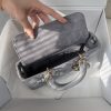 Dior Medium Lady D-Joy Bag Grey For Women 8,7in/22cm