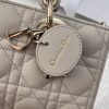 Dior Medium Lady D-Joy Bag Light Brown For Women 8,7in/22cm