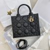 Dior Small Book Tote Bag Black For Women 10,4in/26,5cm M1325OWHP_M900
