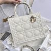 Dior Small Book Tote Bag White For Women 10,4in/26,5cm M1325OWHP_M030