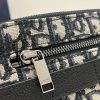 Dior Safari Messenger Bag Black For Women 8.5in/22cm 1ESPO206YKY_H27E