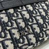 Dior Safari Messenger Bag Black For Women 8.5in/22cm 1ESPO206YKY_H27E